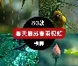 开云网页版 -关于全明星赛赛程吃紧；门兴格拉德巴赫窗口期完成体检；目标明确；身体对抗强度拉满的信息